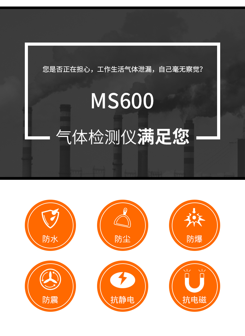 MS600便携式气体检测仪