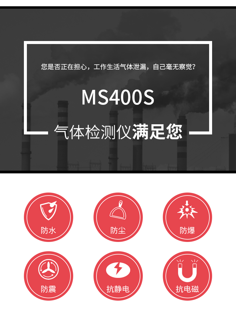 MS400便携式复合型气体检测仪
