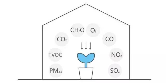 Air Matters：室内空气知多少-新地标环保